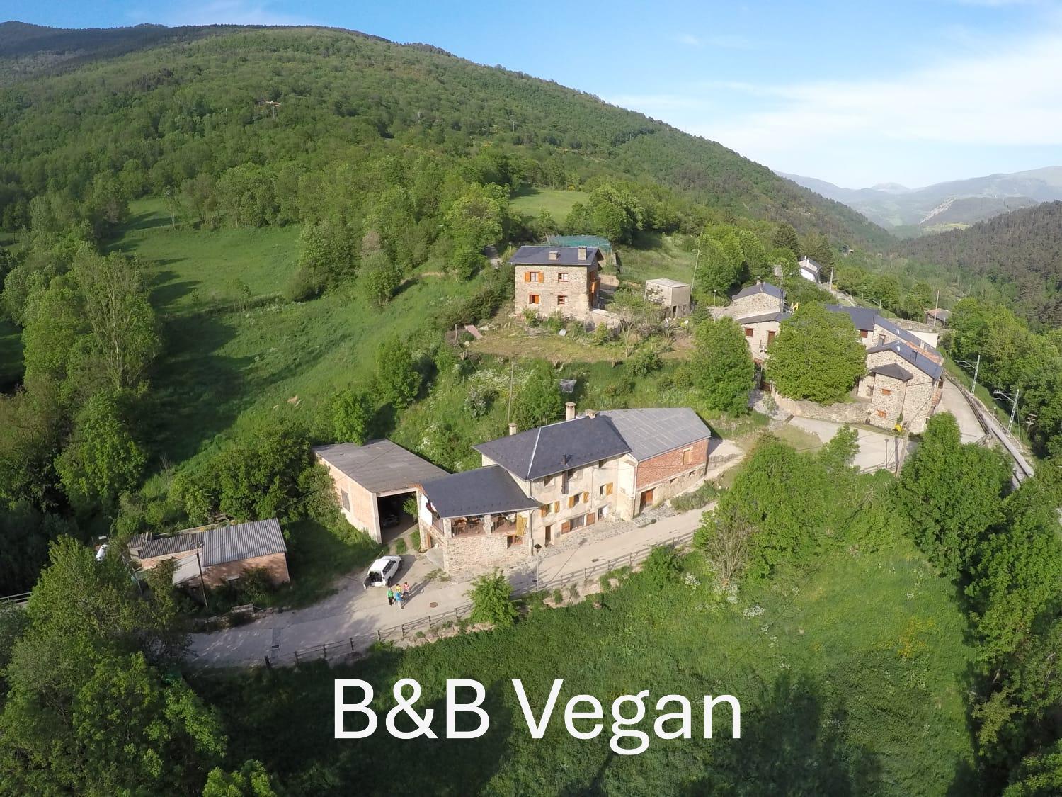 Cal Calau Vega Bed & Breakfast Planoles Ngoại thất bức ảnh